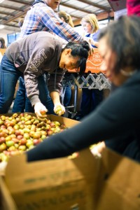 Boobs4Food LA Food Bank Patricia Our Boobs4Food LA founder, Patricia, helping to sort produce.